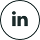 LinkedIn icon