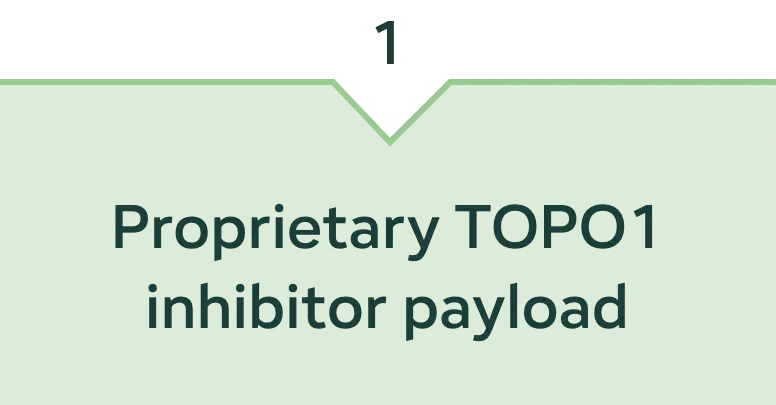 Proprietary TOPO1 inhibitor payload